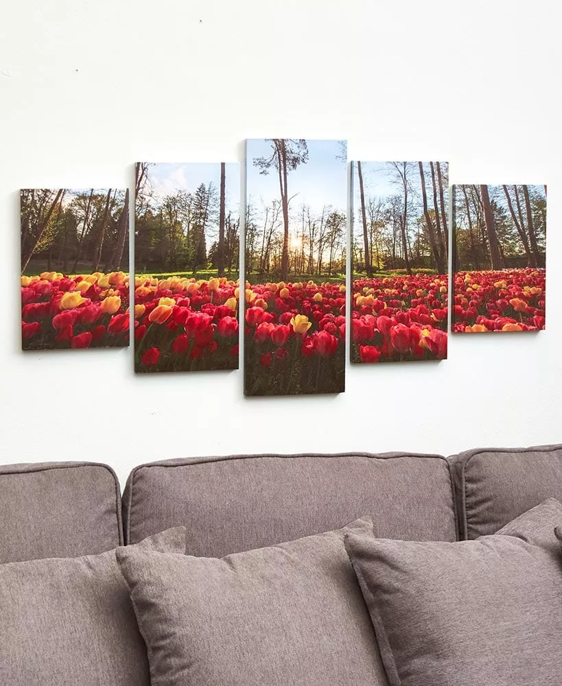 5-Pc. Canvas Wall Art Set