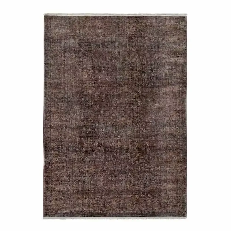 (B974) Brown Valinor Traditional Area Rug, 5x7