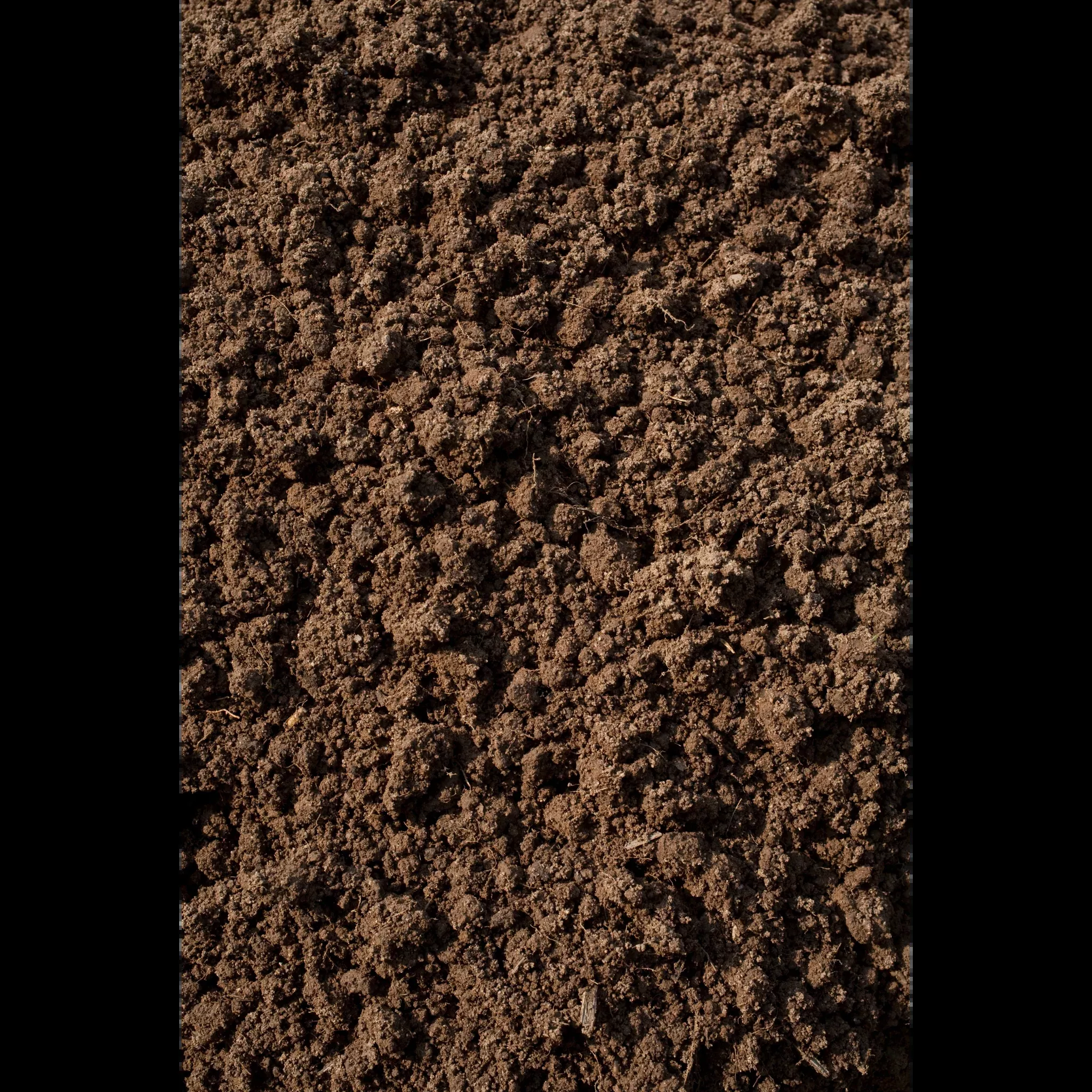 Black Dirt Pulverized