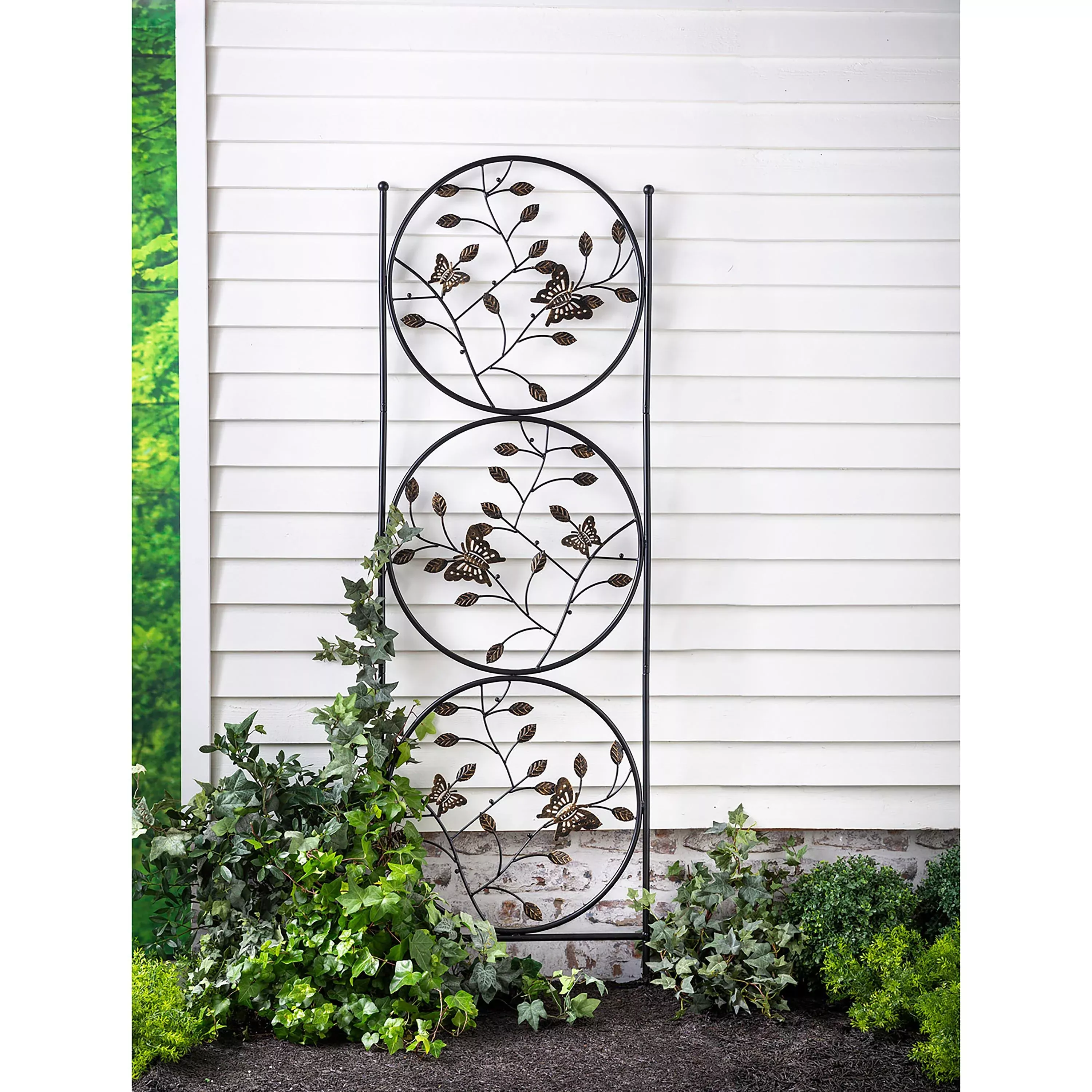 Butterfly Trio Trellis