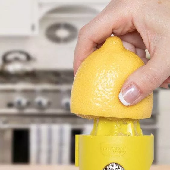 Citrus Zester Reamer by Talisman