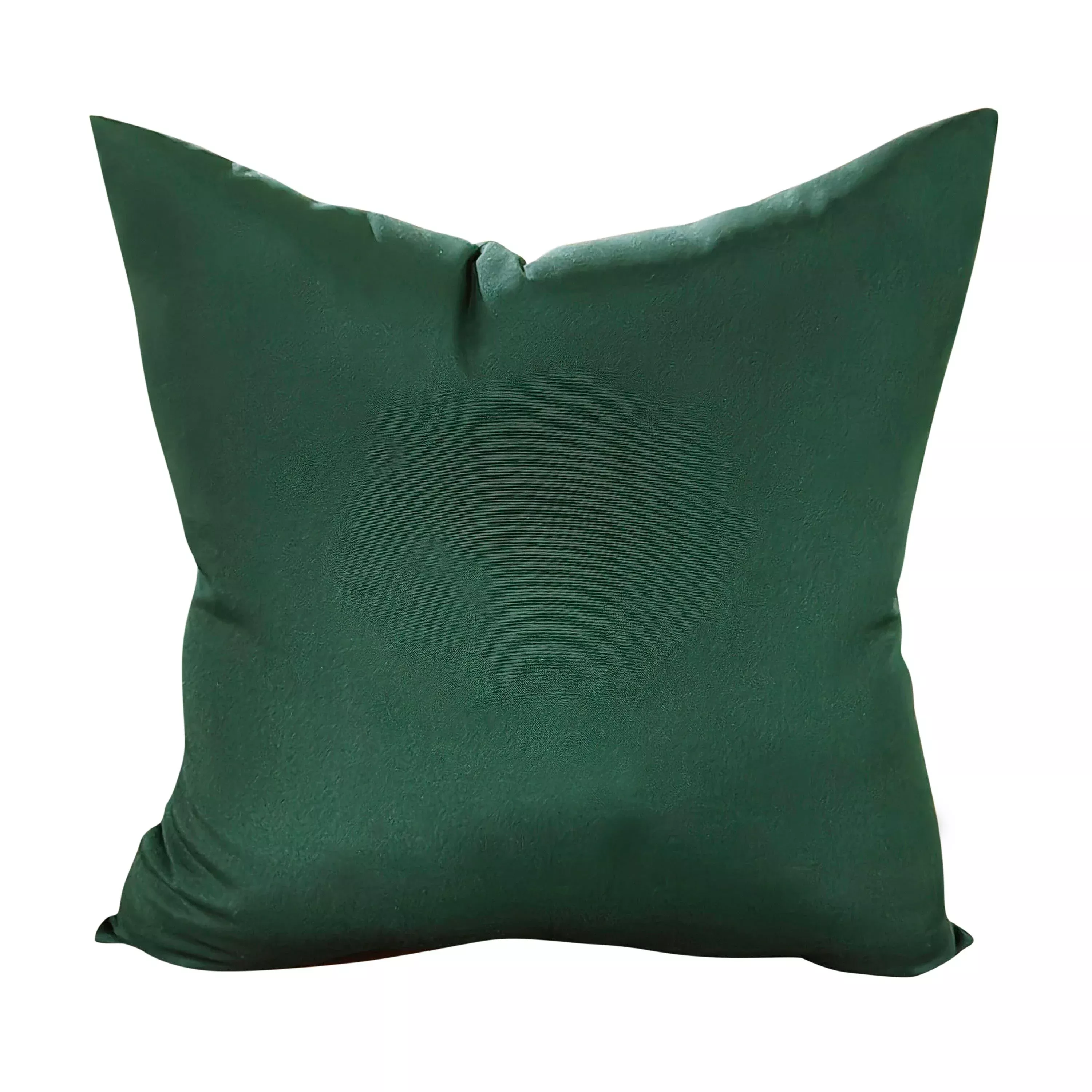 Classic Throw Pillow
