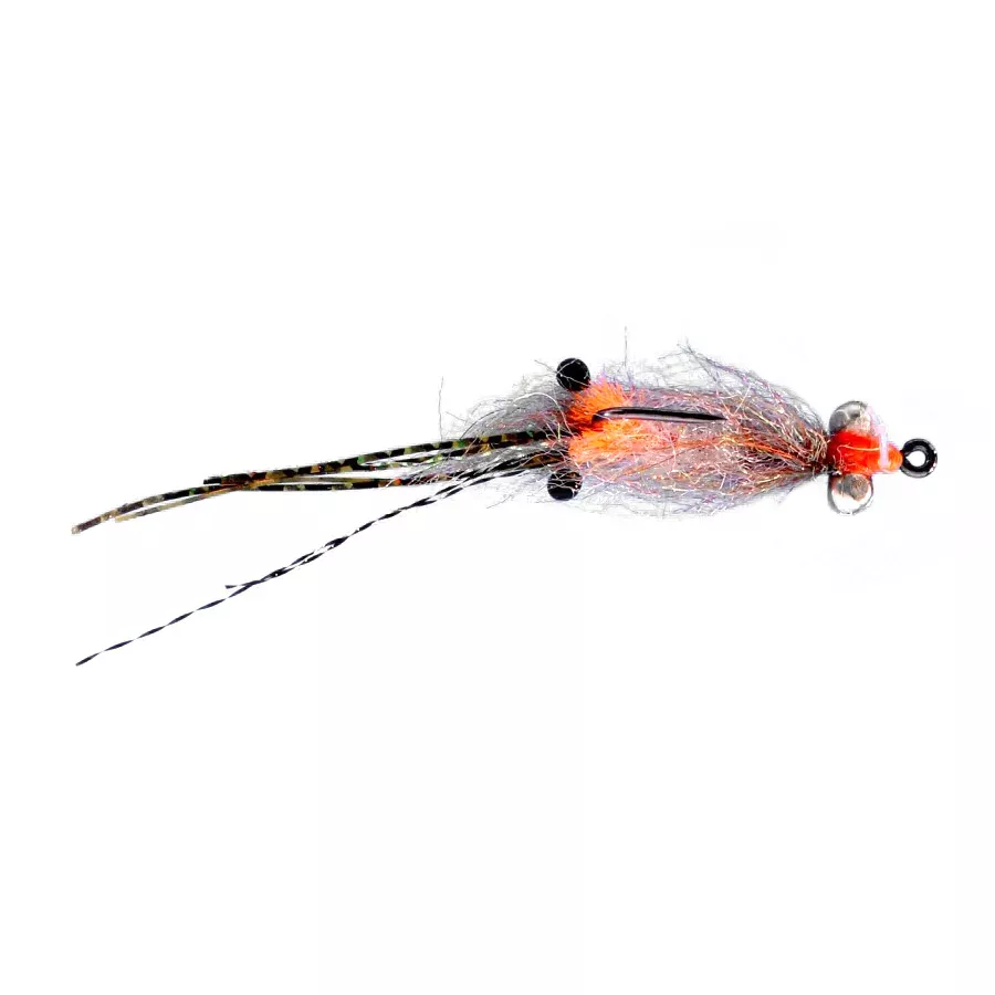 Enrico Puglisi Spawning Shrimp BC