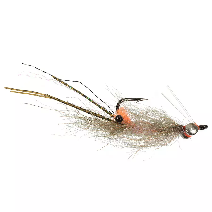 Enrico Puglisi Spawning Shrimp