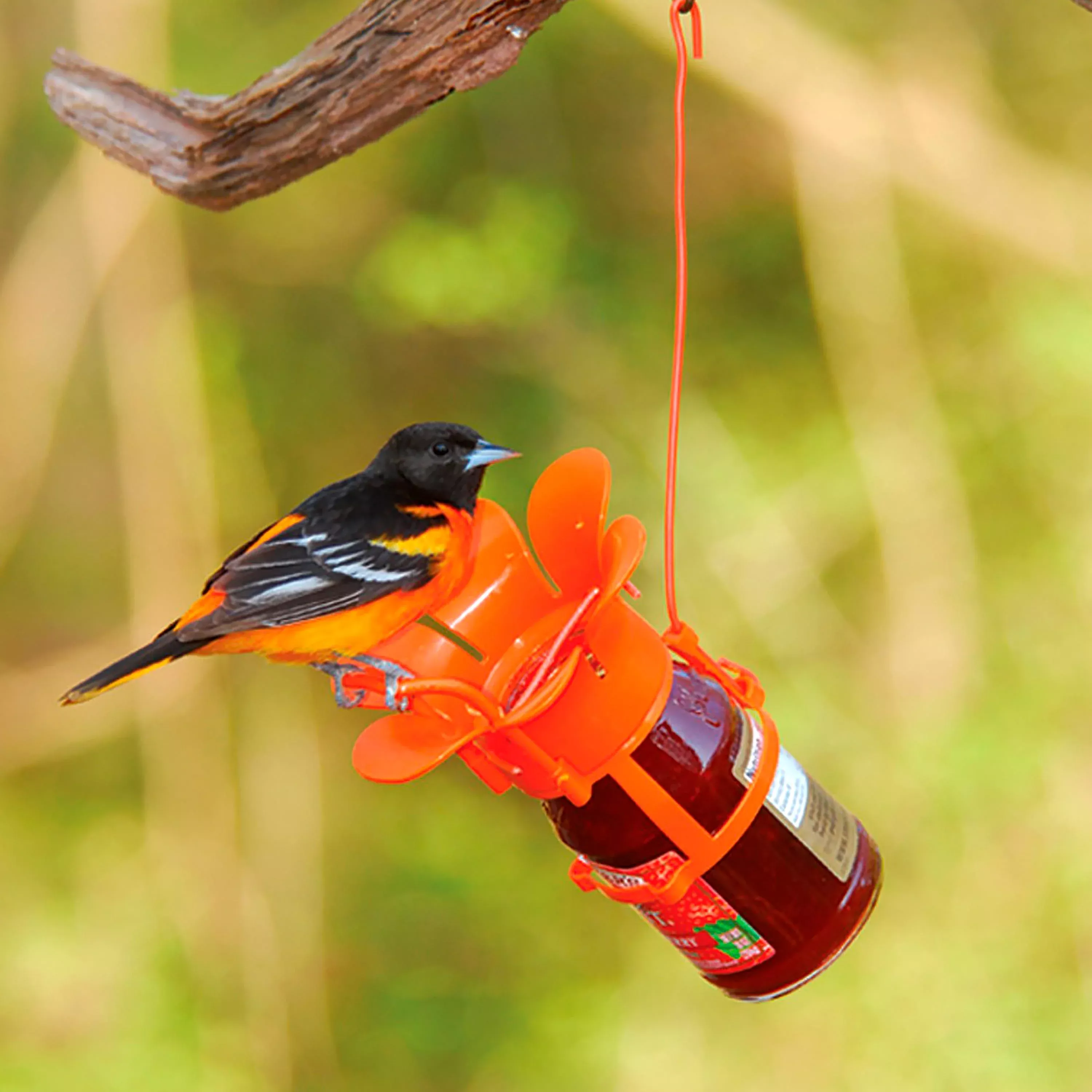 Jelly/Jam Jar Oriole Bird Feeder