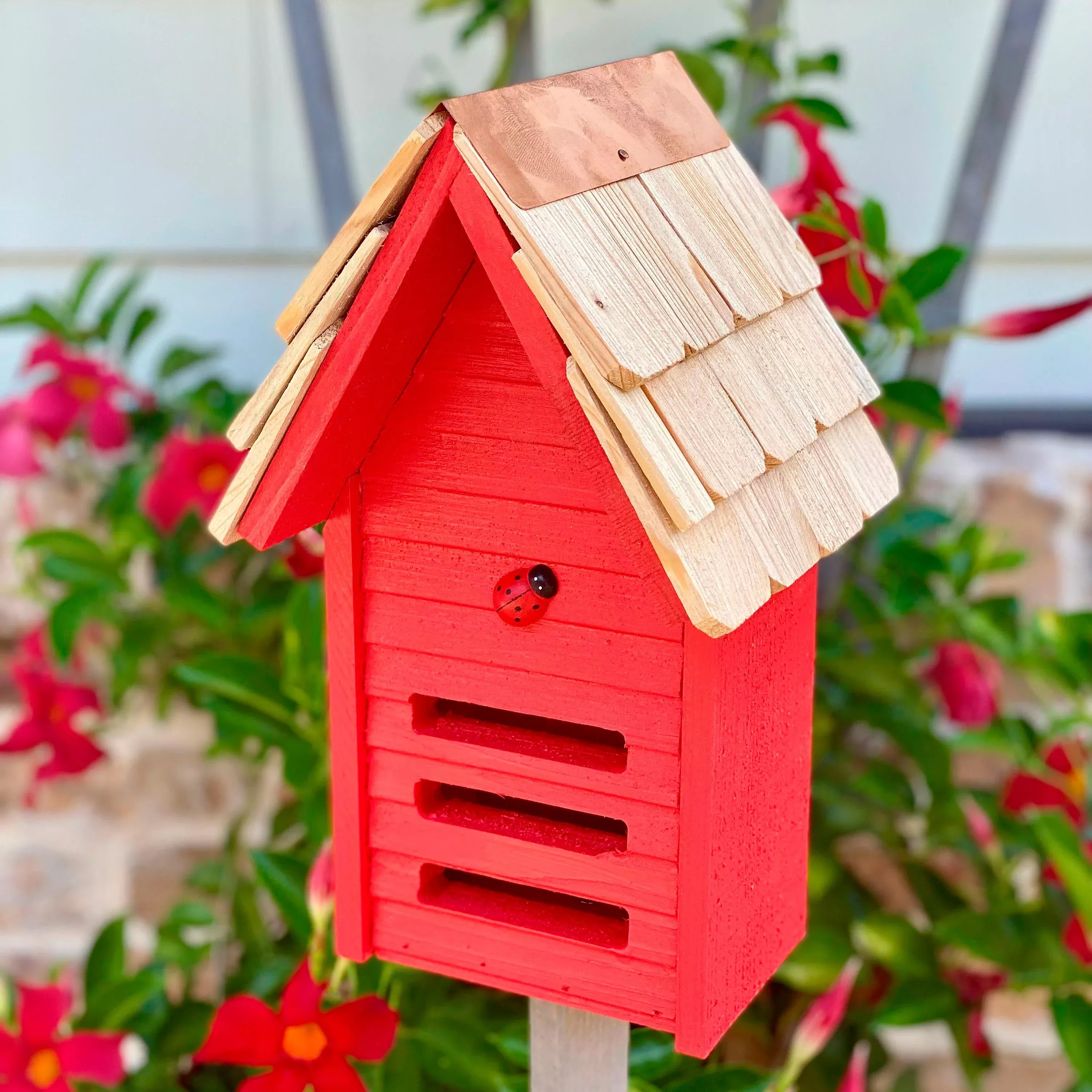 Ladybug House with Mounting Pole