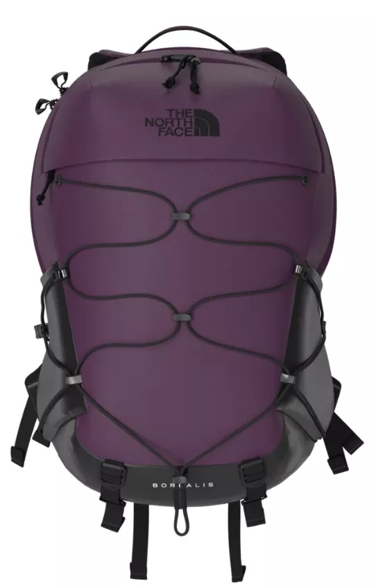 Men's Borealis Backpack