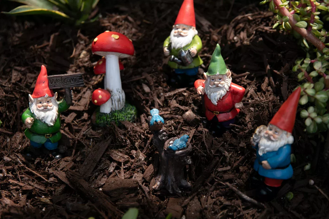 Miniature Gnome Garden