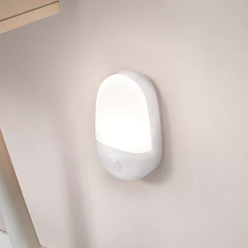 Motion Sensor Light