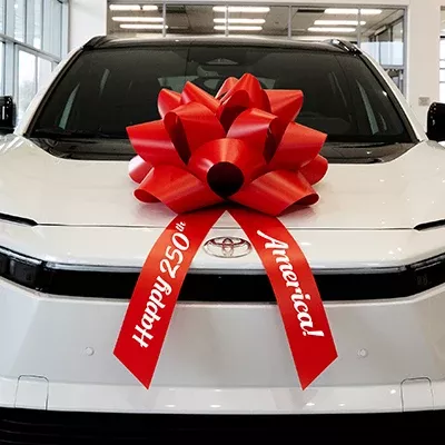 Premium Car Bows - Happy 250th America