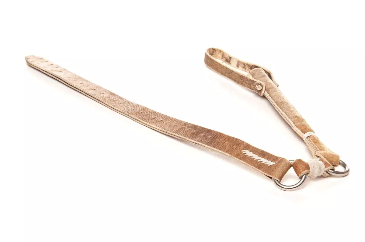 Rawhide Whip