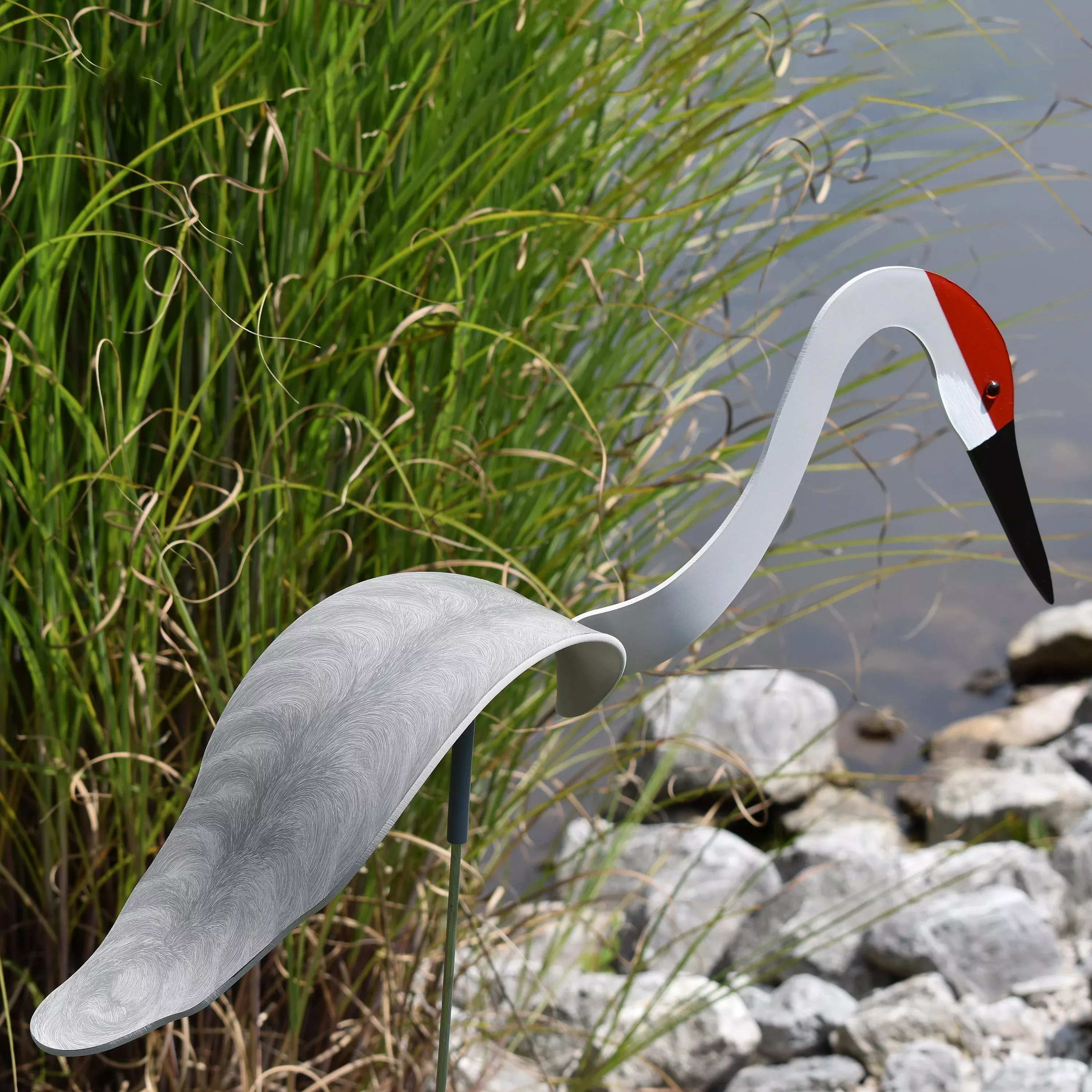 Sandhill Crane Dancing Bird