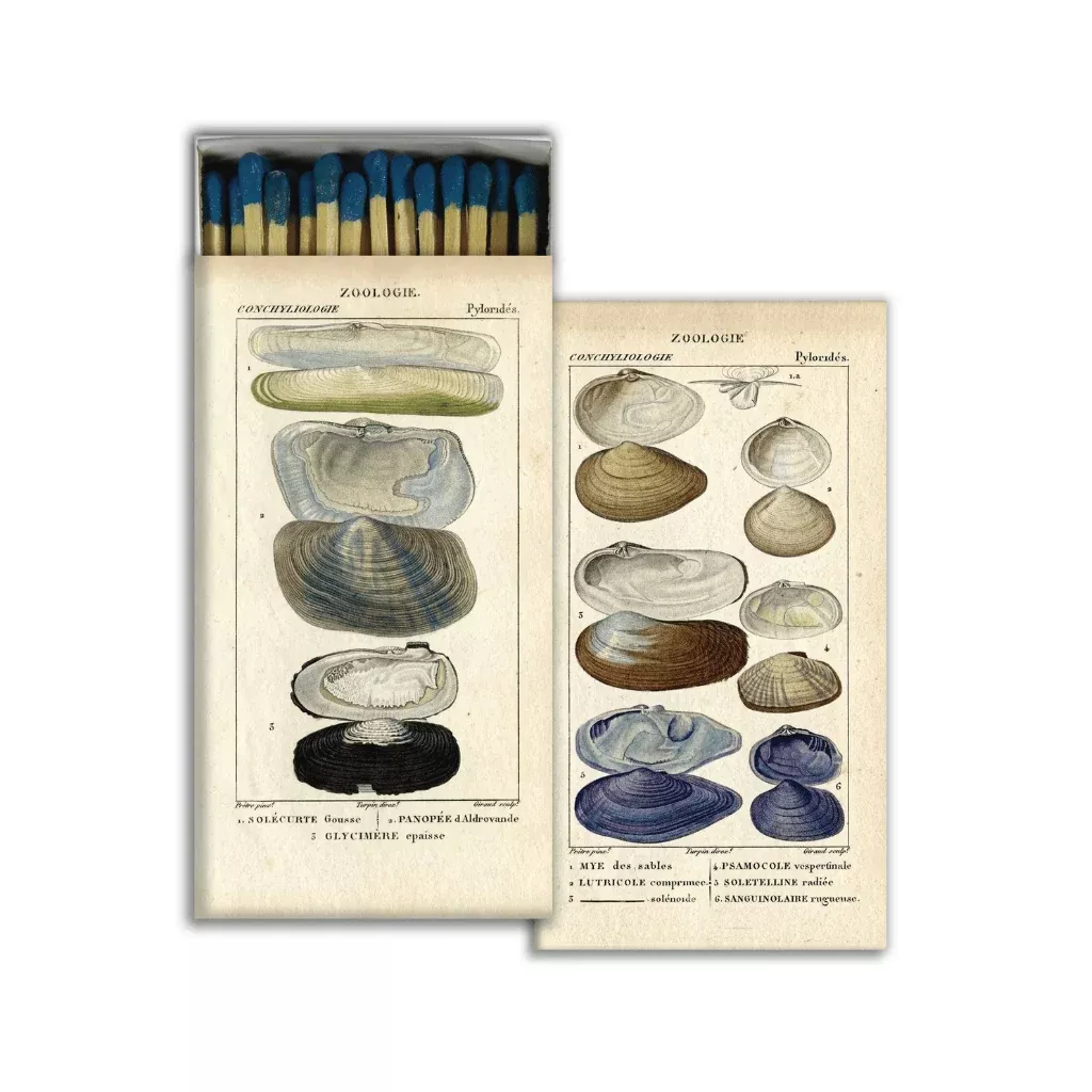 Seashell Specimens Boxed Matches