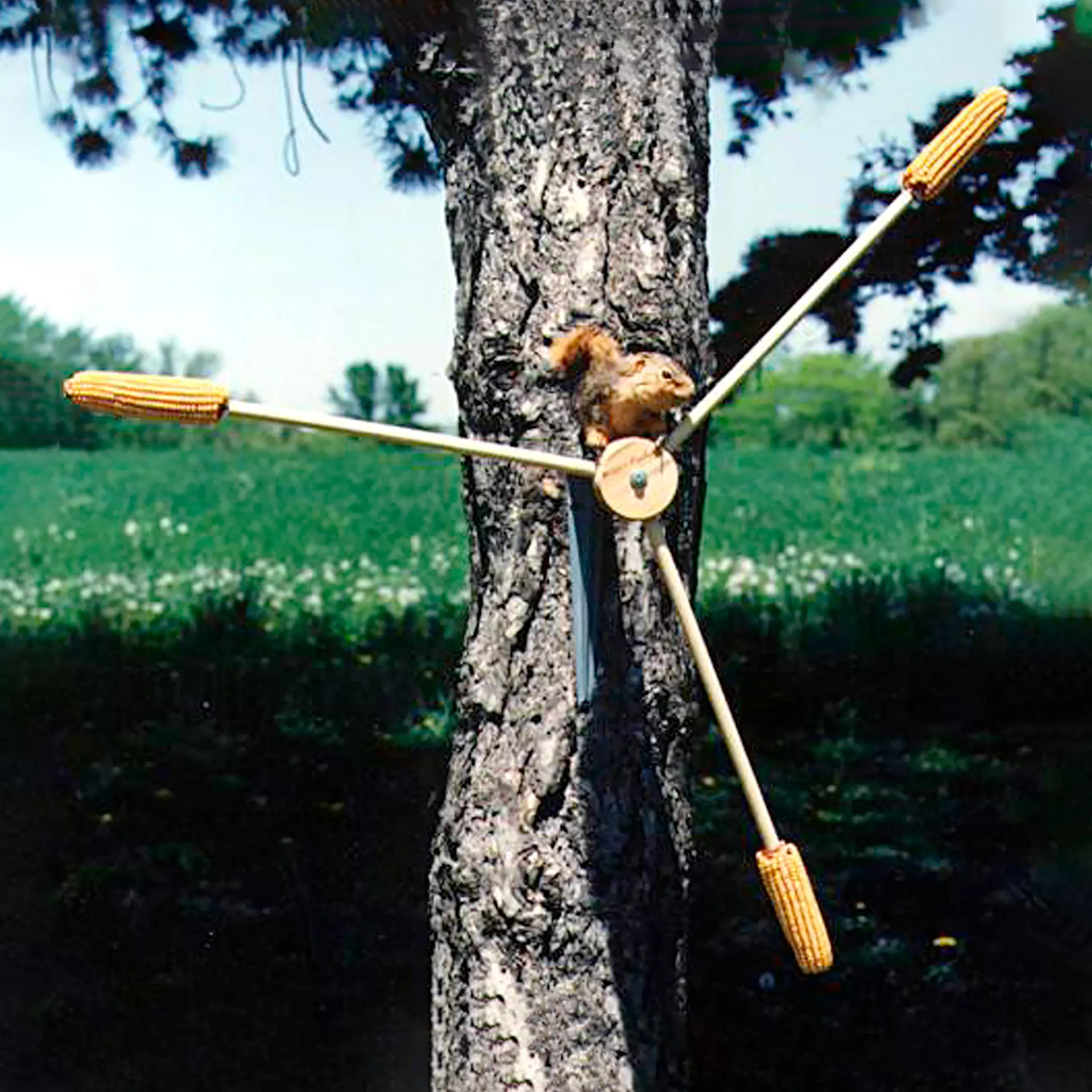 Squirrel-A-Whirl Spinning Squirrel Feeder